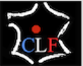 Logo CHRISTEL CECCOTTO