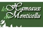 Logo SCI MONTICELLO