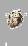 Logo ABDELOUAHAD LAMSSIAH