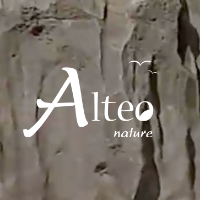 Logo ALTEO