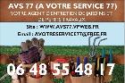 Logo AVS 77