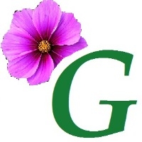 Logo VALERIE CATINAUD