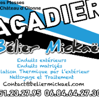 Logo BELIER MICKAEL