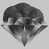 Logo LE DIAMANT NOIR DE LA DROME DES COLLINES