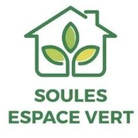 Logo DAVID SOULES