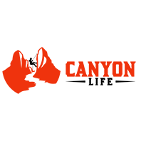 Logo VINCENT GARCIA